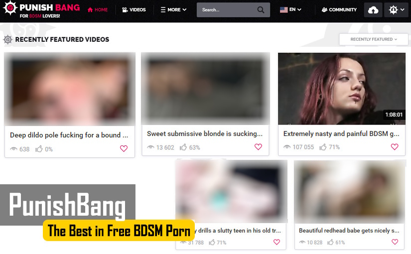 Let’s Discuss the Best in Free BDSM Porn